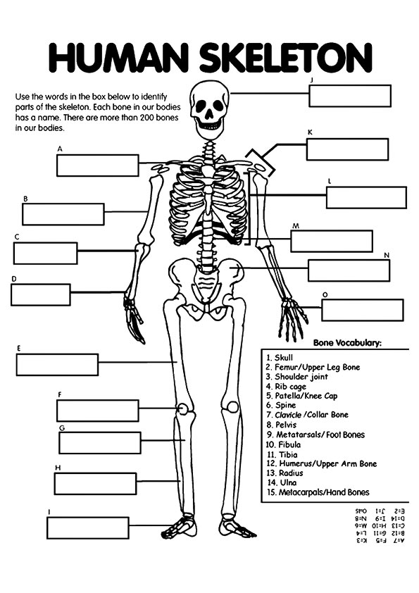 Biologie Ausmalbilder &amp; Malvorlagen 100 KOSTENLOS