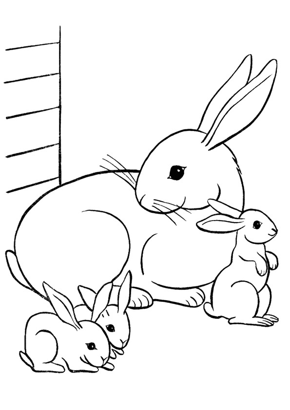 kaninchen-ausmalbild-0067-q2