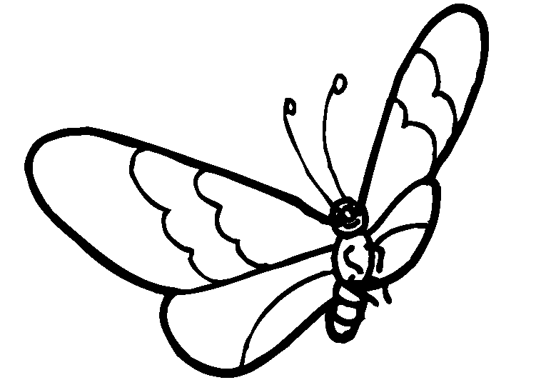 schmetterling-ausmalbild-0003-q3