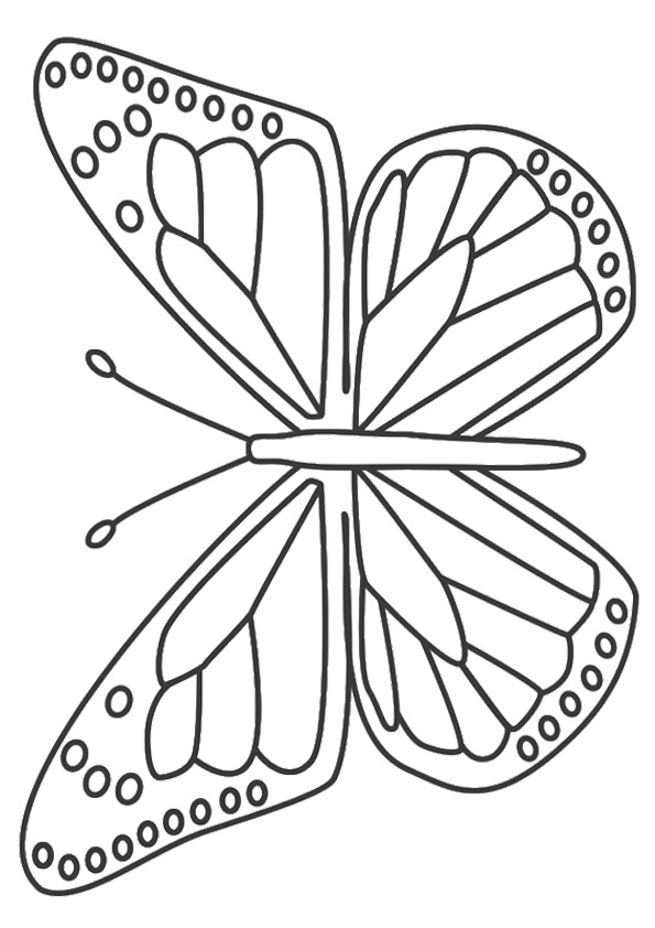 schmetterling-ausmalbild-0132-q2