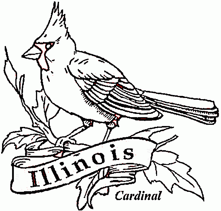 kardinal-ausmalbild-0012-q1