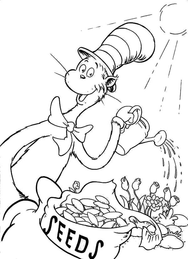 ein-kater-macht-theater-ausmalbild-0039-q1