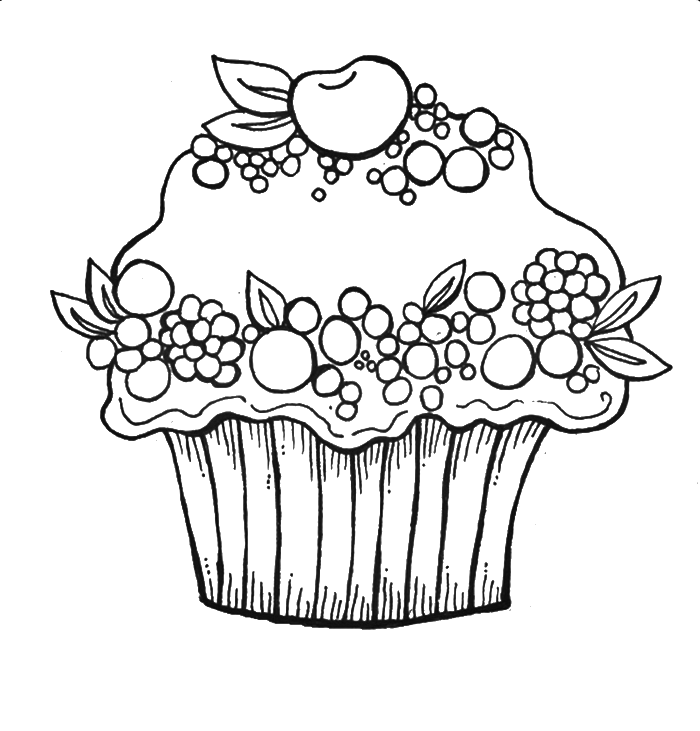 Cupcake & Muffin