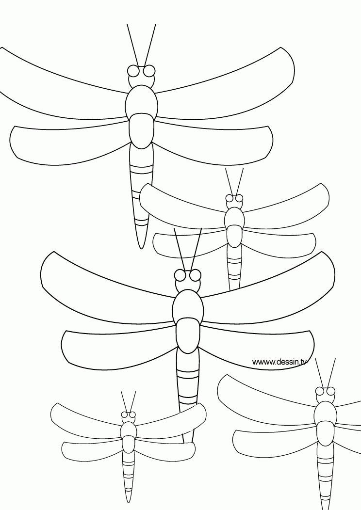 libelle-ausmalbild-0017-q1