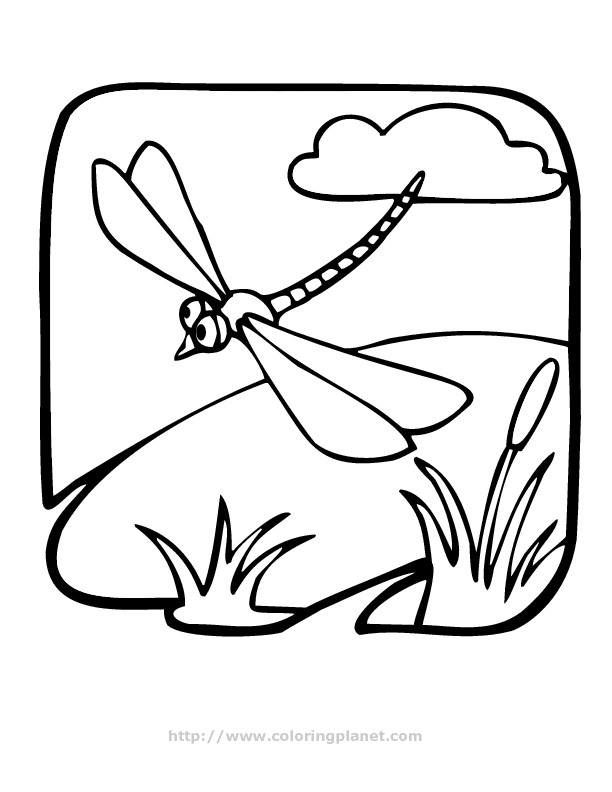 libelle-ausmalbild-0034-q1