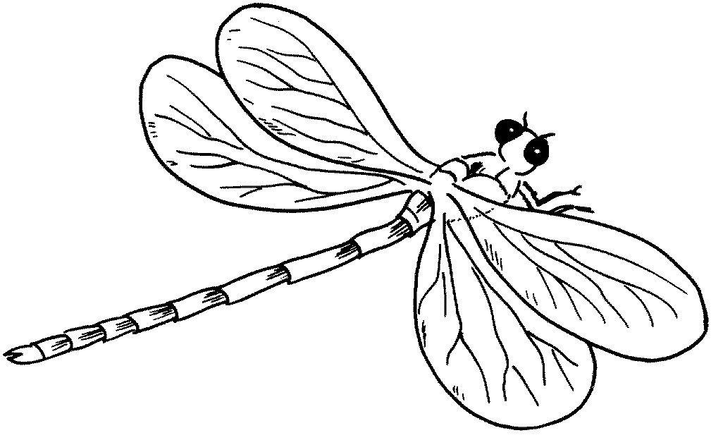 libelle-ausmalbild-0046-q1