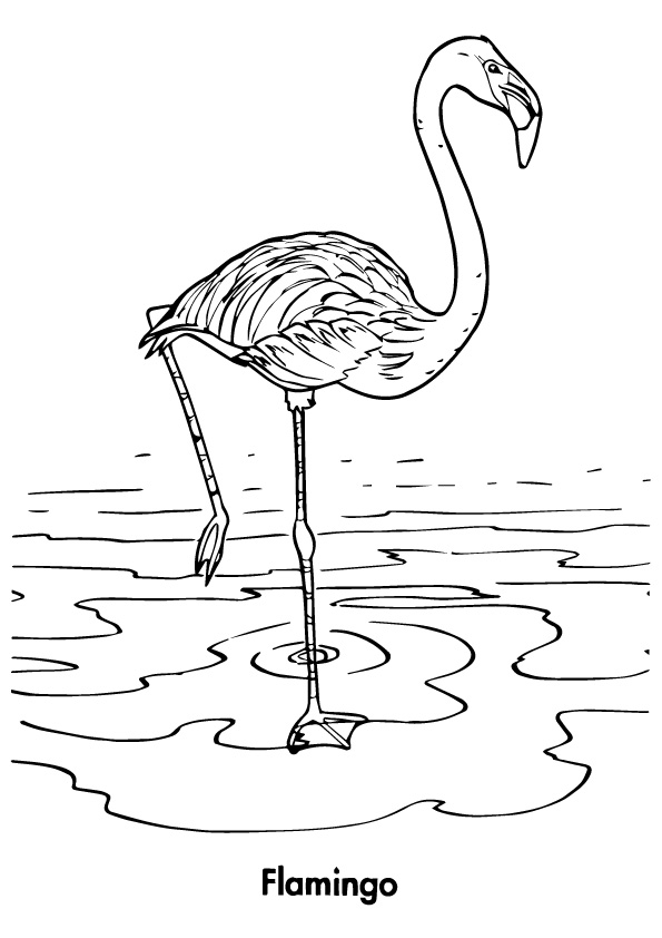 flamingo-ausmalbild-0048-q2