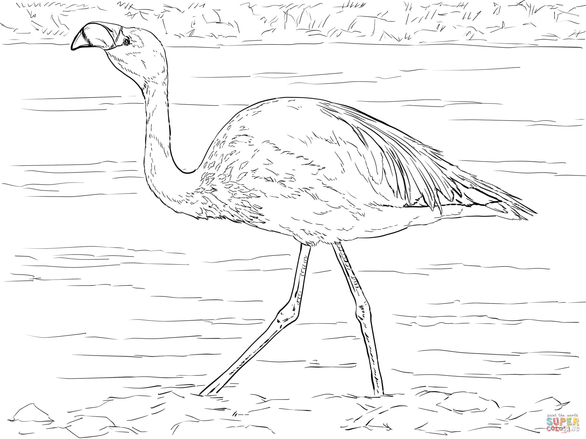 flamingo-ausmalbild-0058-q1