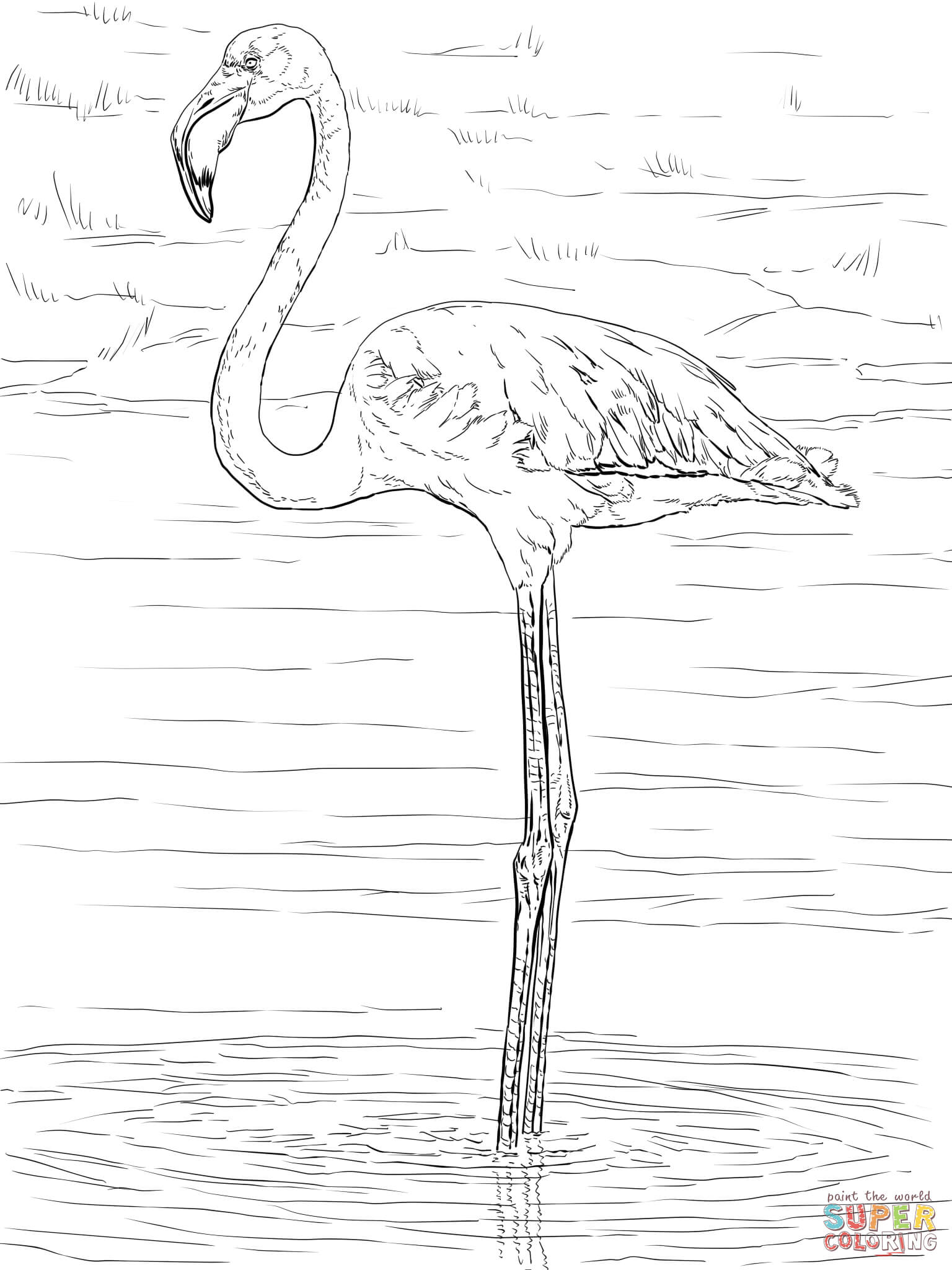 flamingo-ausmalbild-0060-q1
