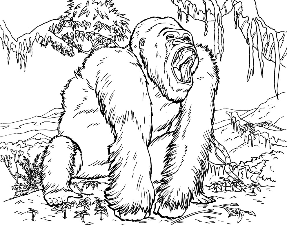 Gorilla