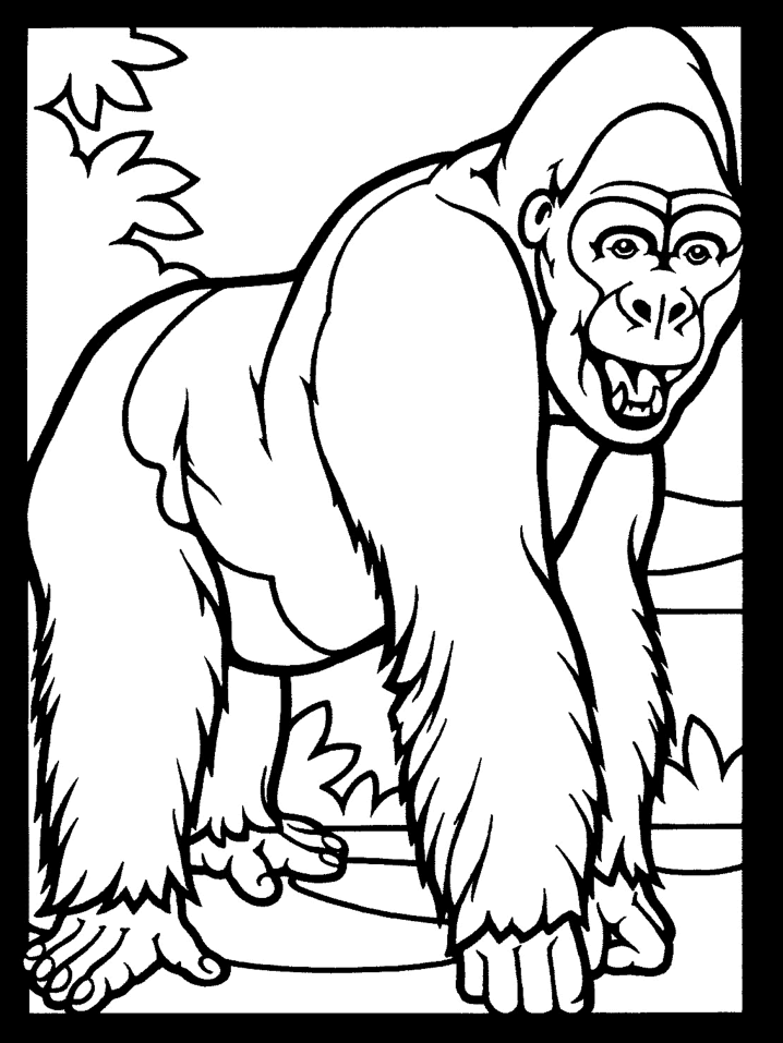 gorilla-ausmalbild-0012-q1