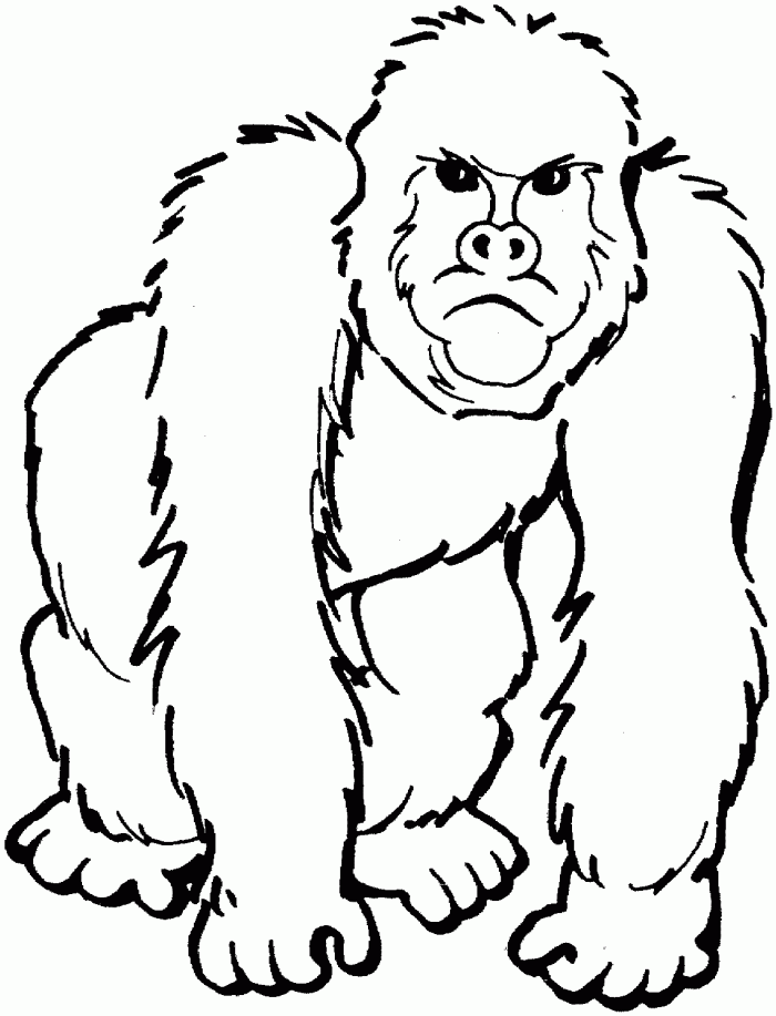 gorilla-ausmalbild-0052-q1