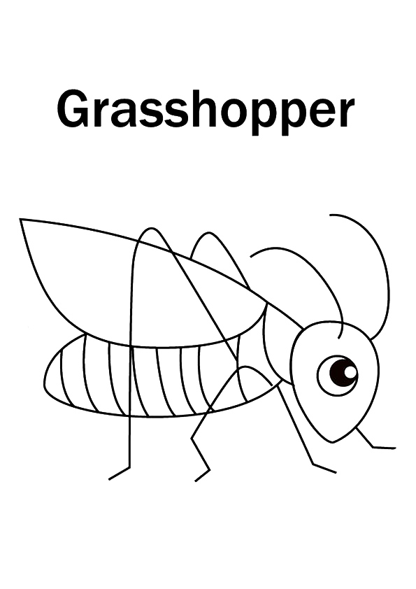 grasshuepfer-ausmalbild-0017-q2