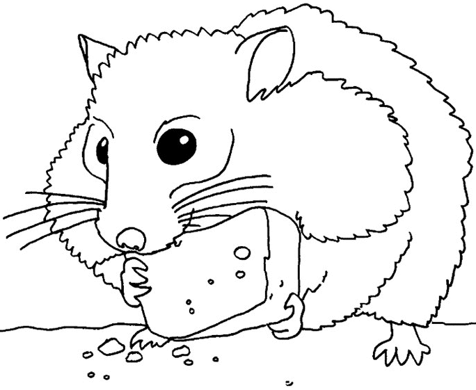 hamster-ausmalbild-0054-q1