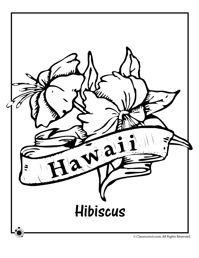 hawaii-ausmalbild-0044-q1