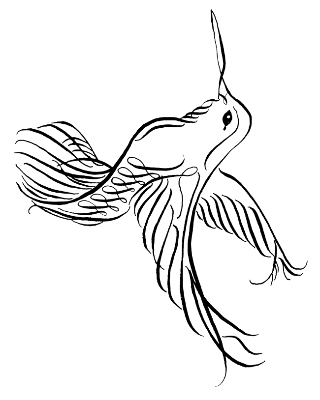 kolibri-ausmalbild-0026-q1