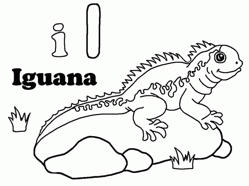 iguana-ausmalbild-0011-q1