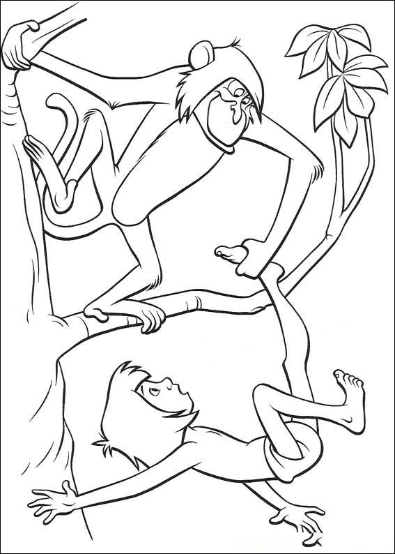 dschungel-ausmalbild-0079-q5