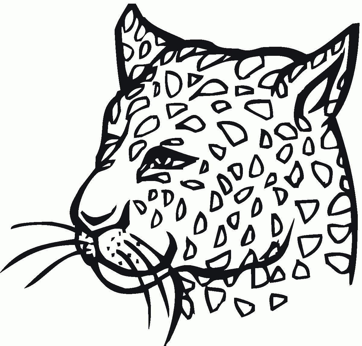 leopard-ausmalbild-0003-q1