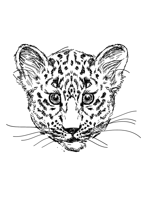 leopard-ausmalbild-0007-q2