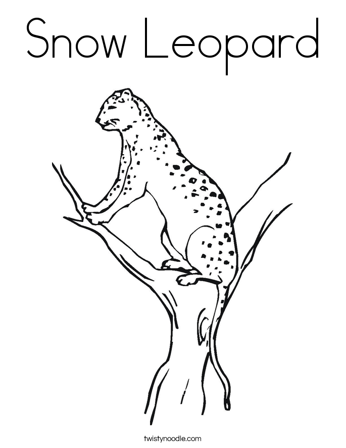leopard-ausmalbild-0008-q1