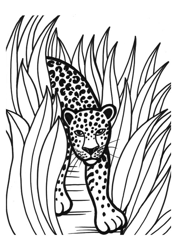 leopard-ausmalbild-0023-q2