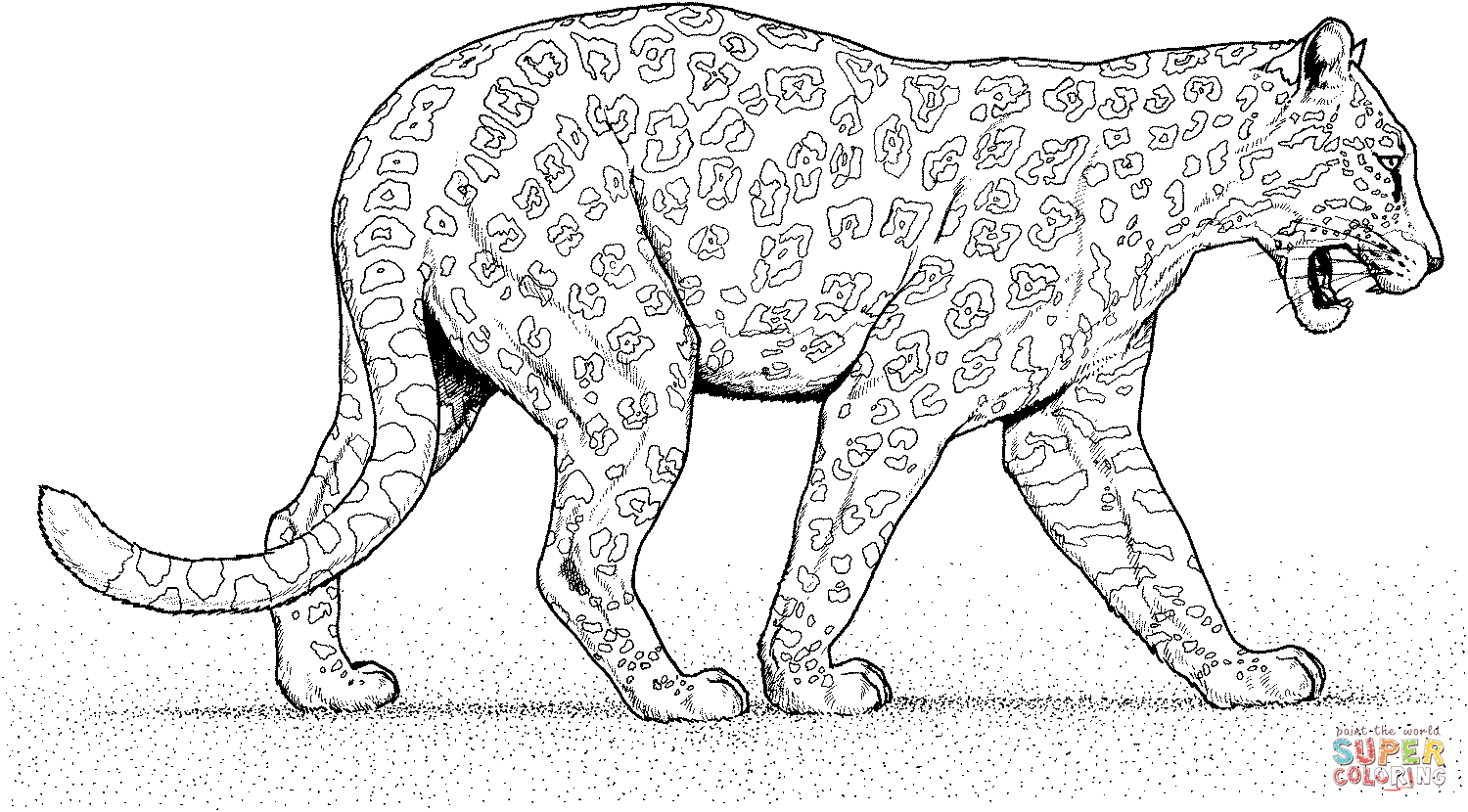 leopard-ausmalbild-0044-q1