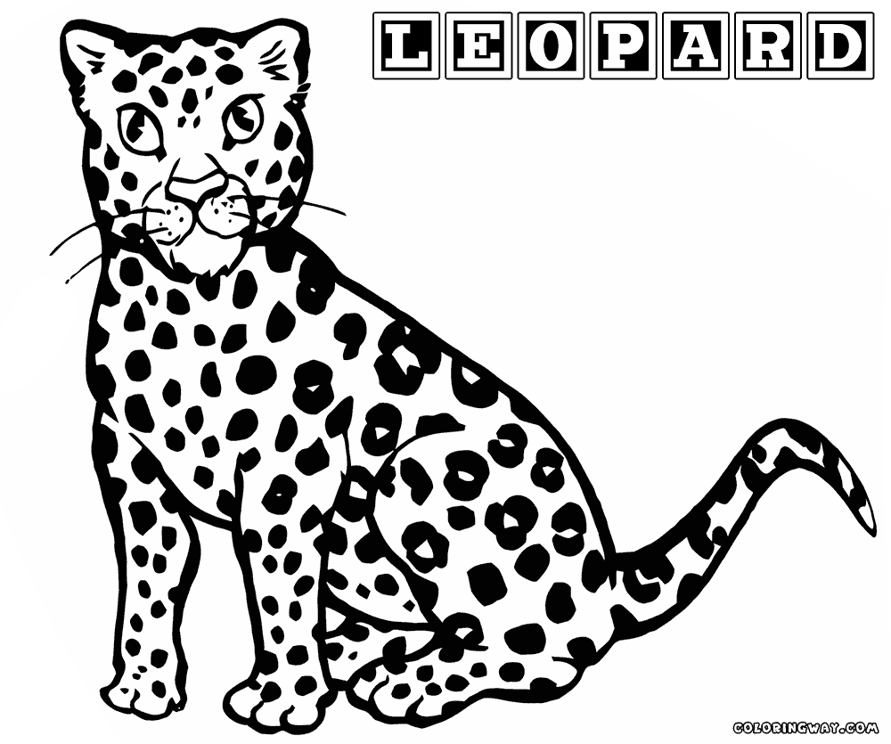 leopard-ausmalbild-0052-q1