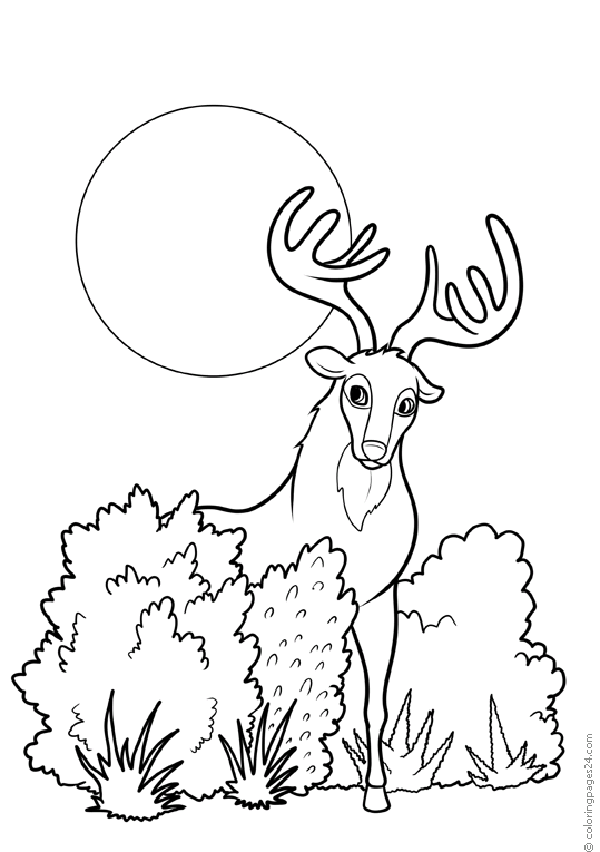 elch-ausmalbild-0035-q3