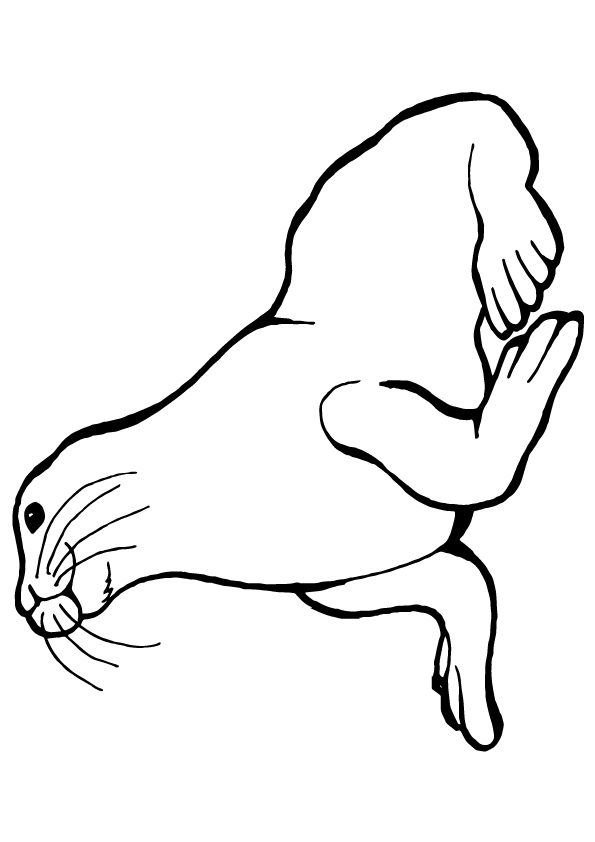 ozean-meer-ausmalbild-0033-q2