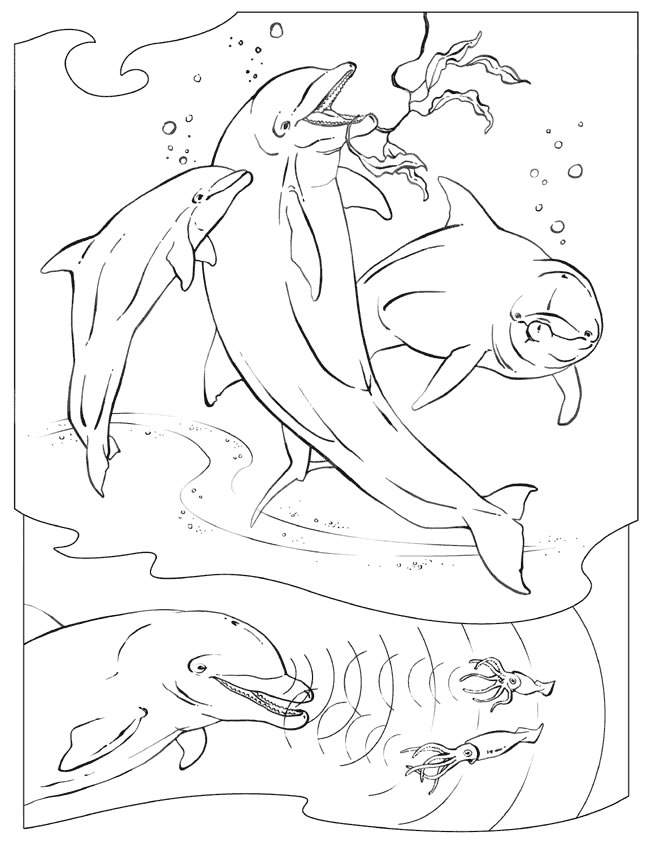 ozean-meer-ausmalbild-0049-q1