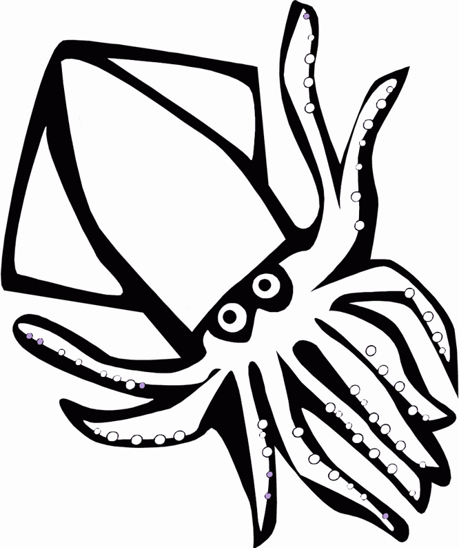 oktopus-tintenfisch-ausmalbild-0033-q1
