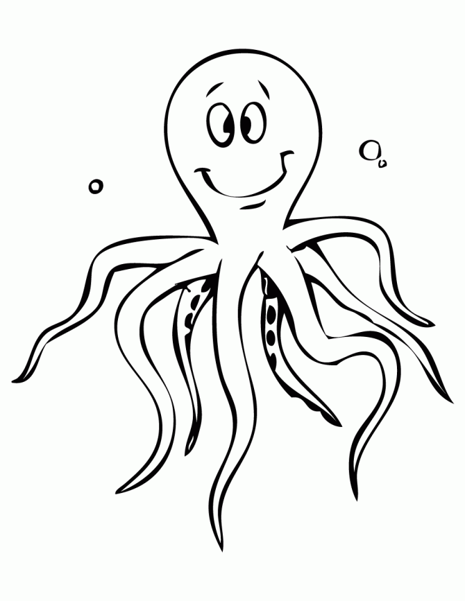oktopus-tintenfisch-ausmalbild-0038-q1