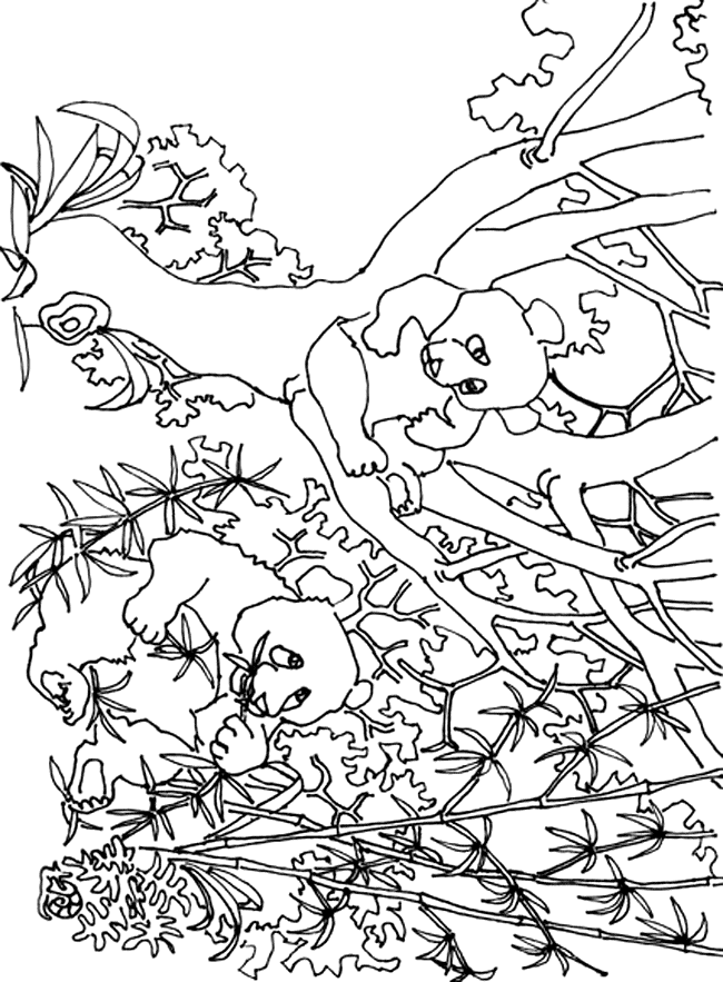 panda-ausmalbild-0049-q1