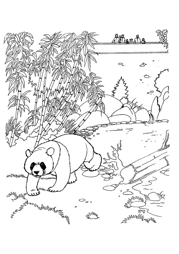 panda-ausmalbild-0058-q2