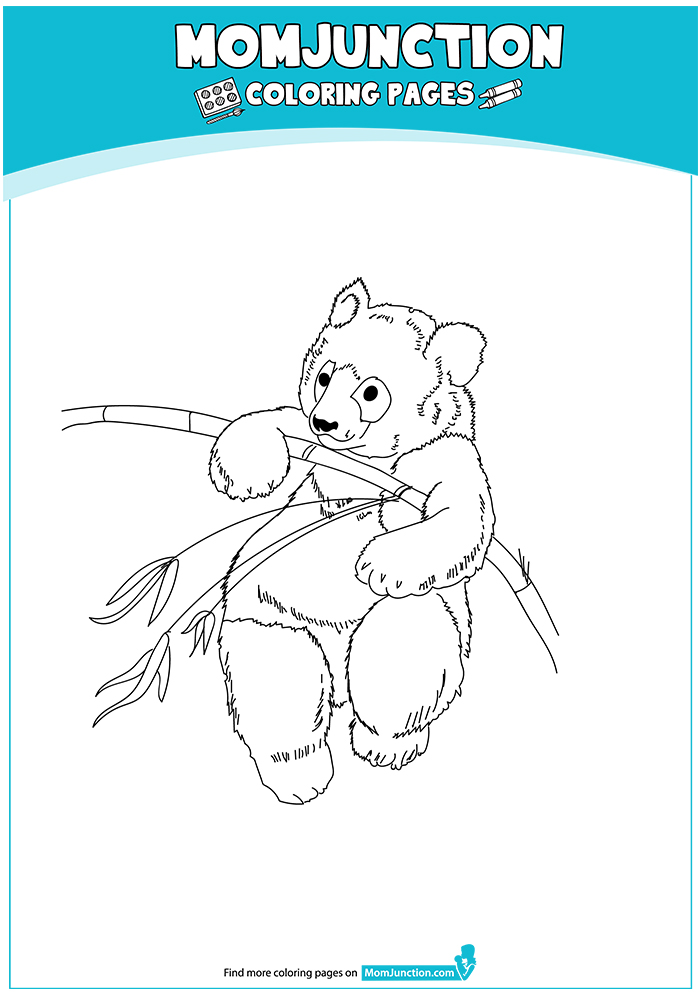 panda-ausmalbild-0062-q2