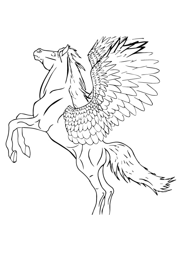 pegasus-ausmalbild-0034-q2