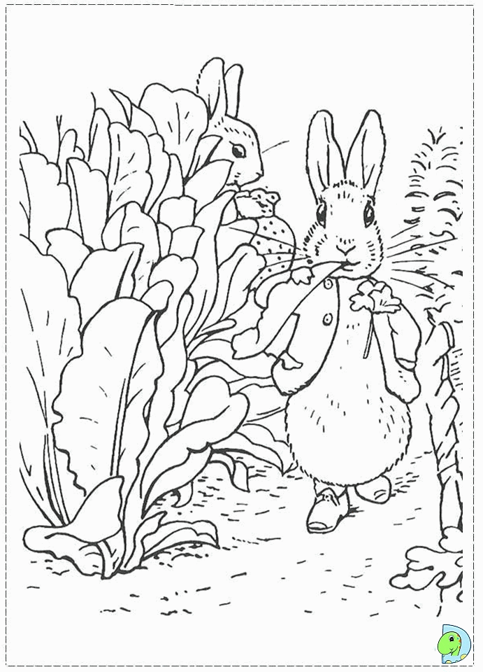 peter-hase-ausmalbild-0001-q1