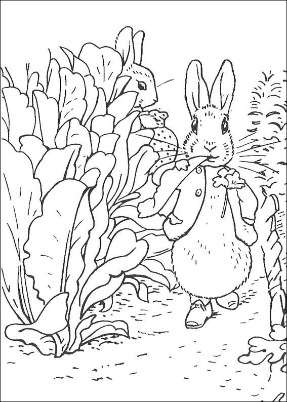 peter-hase-ausmalbild-0007-q5