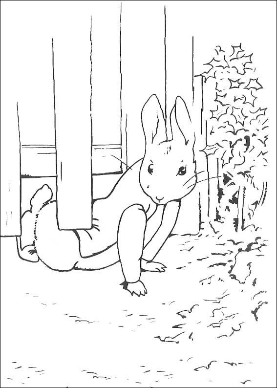 peter-hase-ausmalbild-0027-q5