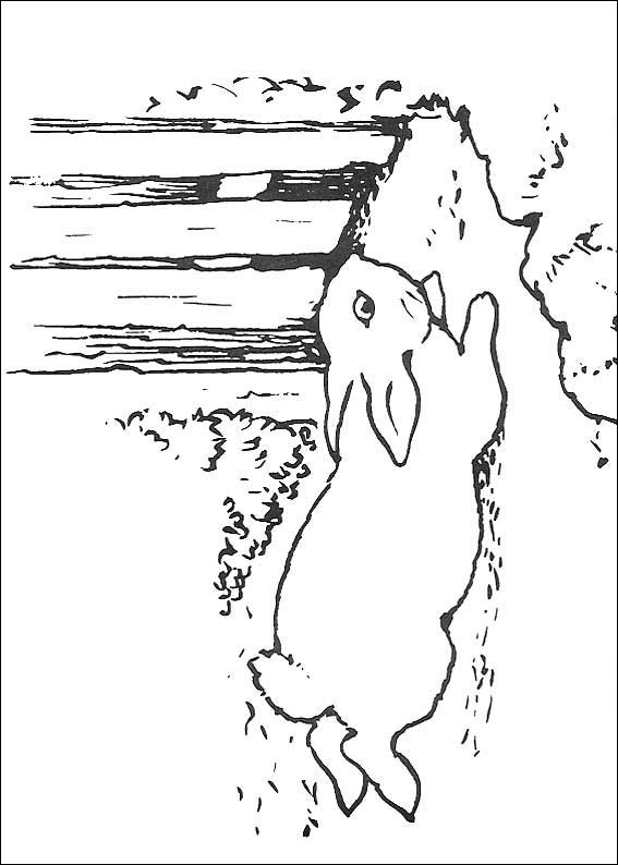 peter-hase-ausmalbild-0028-q5