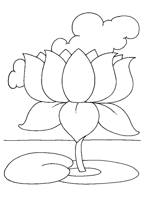 pflanze-ausmalbild-0053-q2