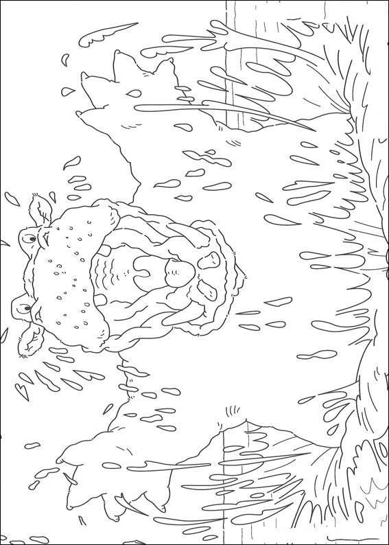 eisbaer-ausmalbild-0086-q5