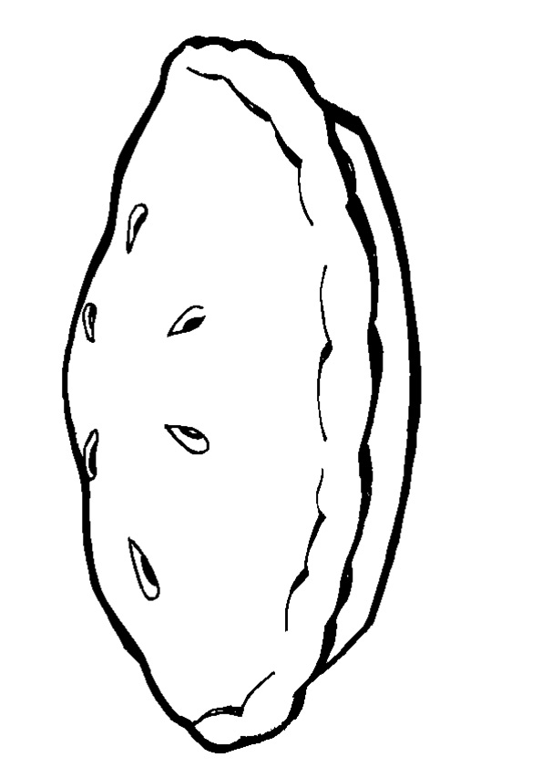 kuerbis-ausmalbild-0033-q2