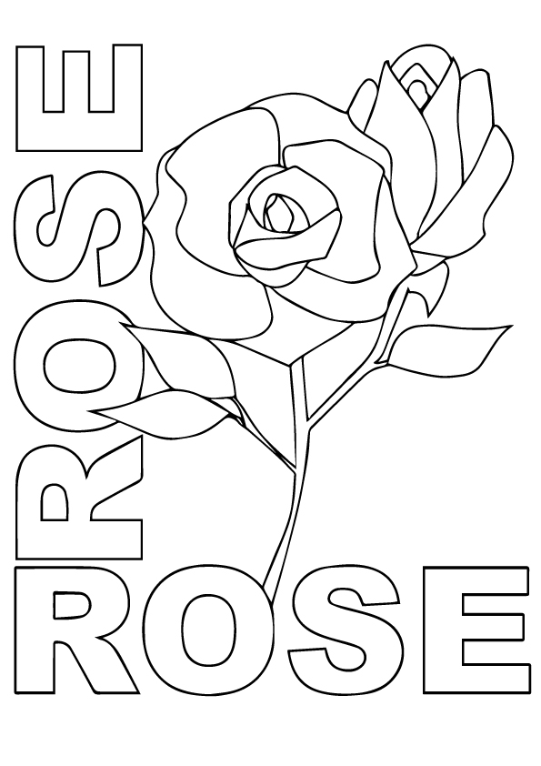 rose-ausmalbild-0029-q2