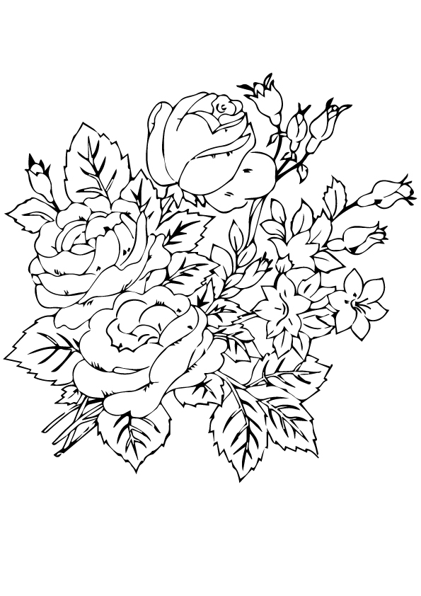 rose-ausmalbild-0042-q2