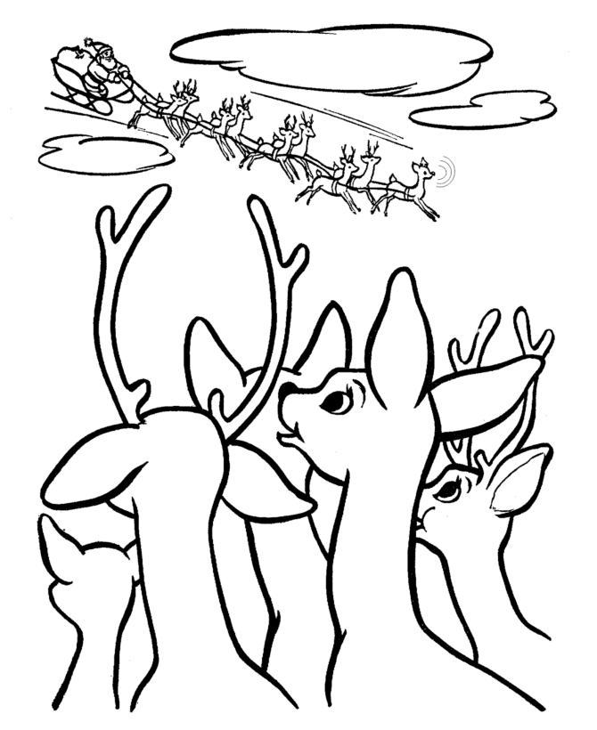 rudolf-rudolph-ausmalbild-0066-q1