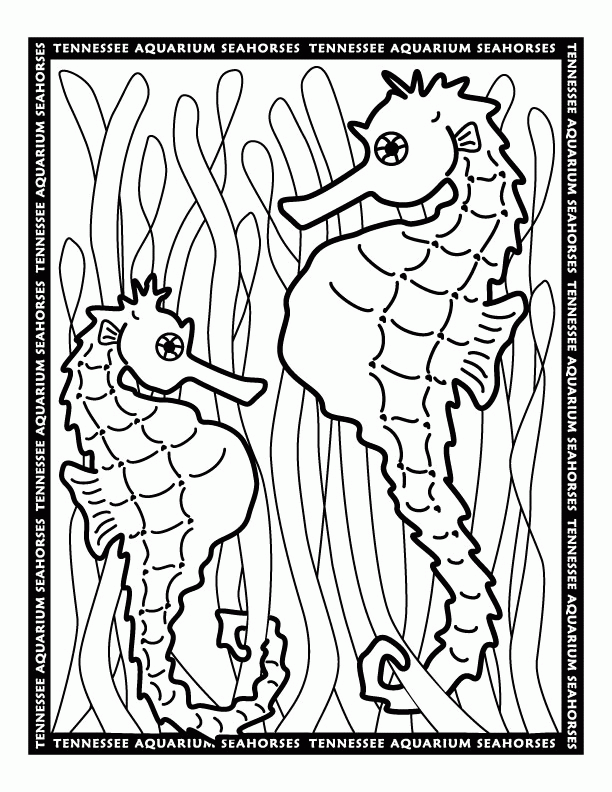 seepferdchen-ausmalbild-0046-q1