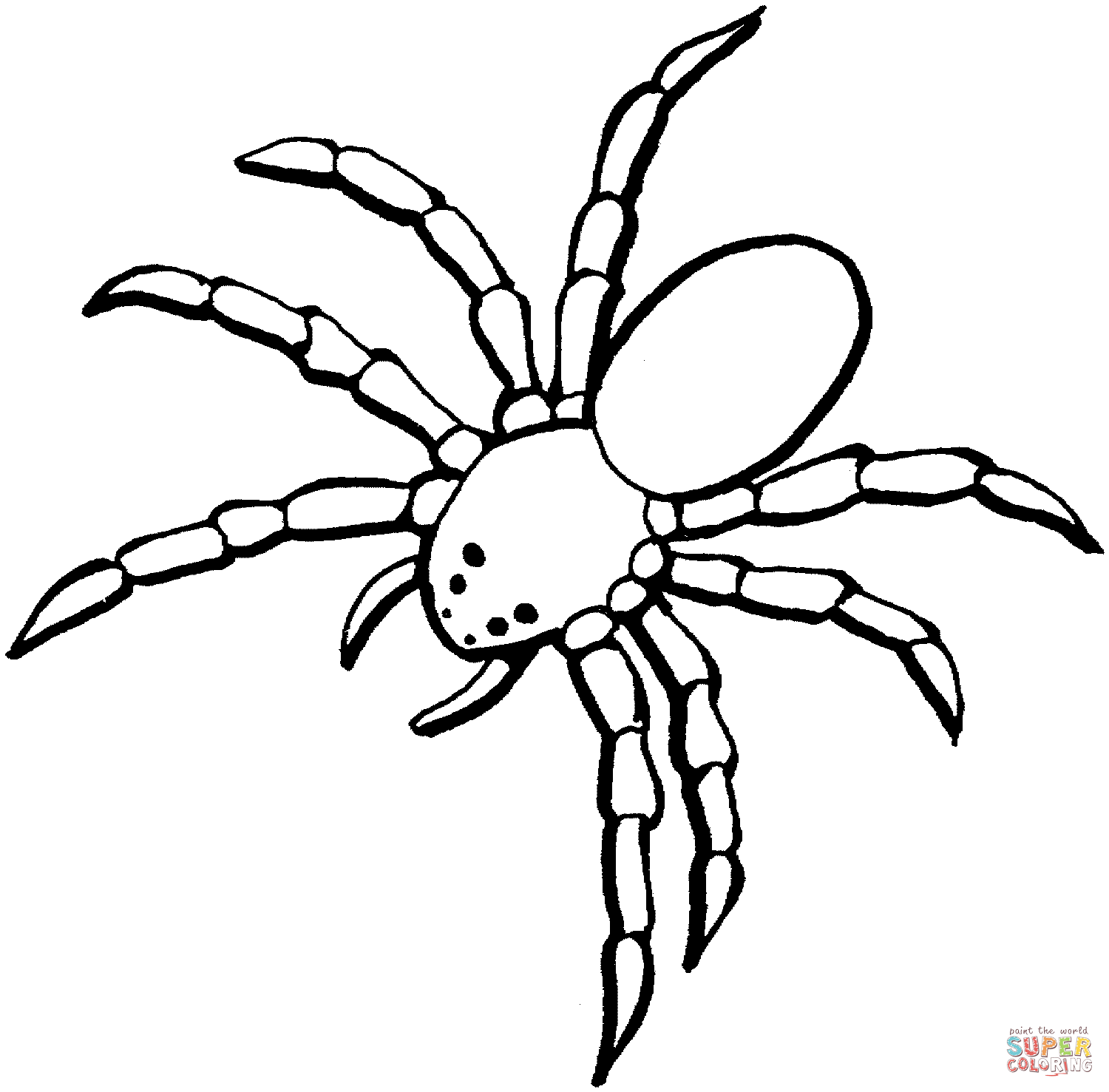 spinne-ausmalbild-0009-q1