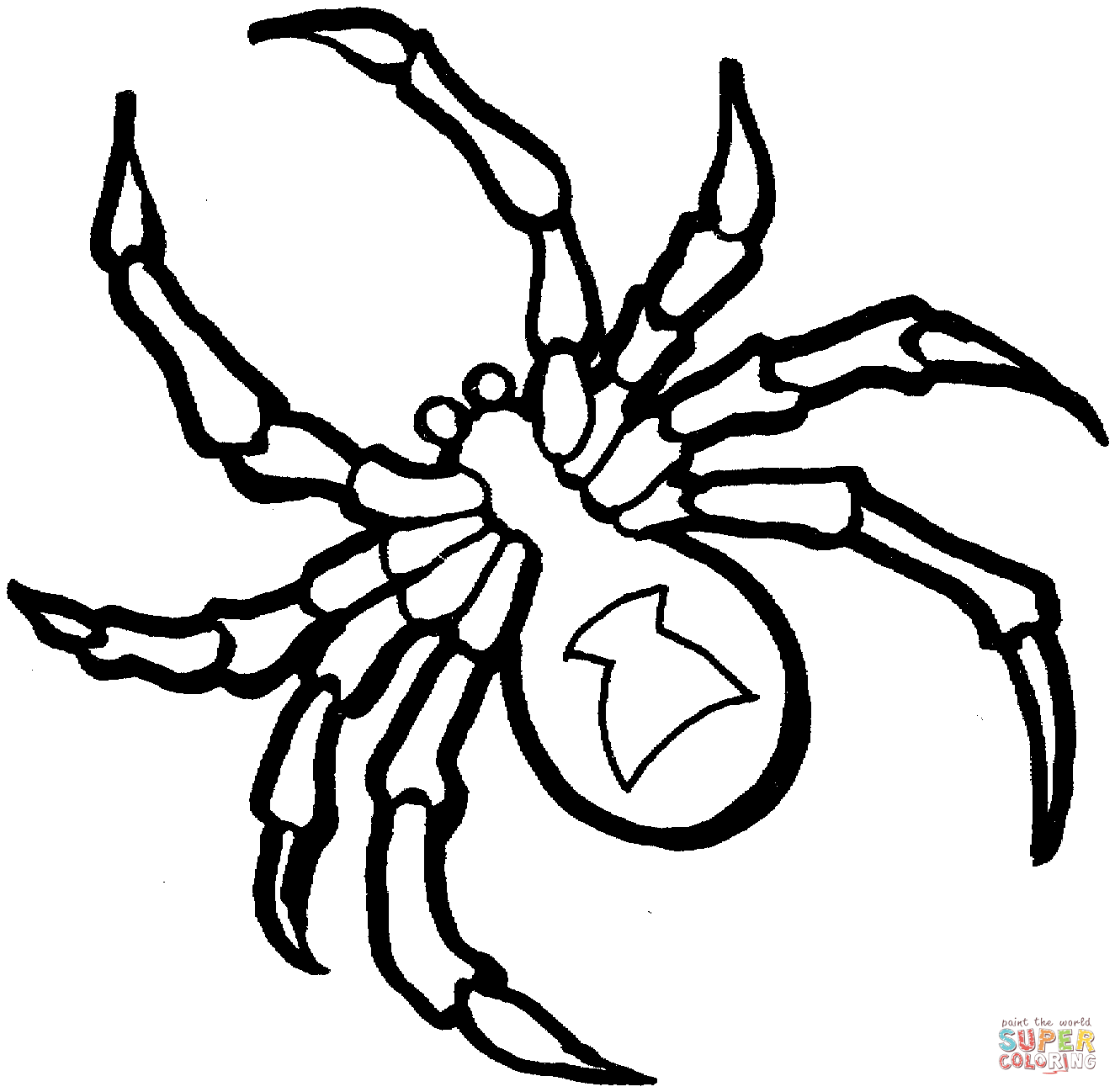 spinne-ausmalbild-0010-q1